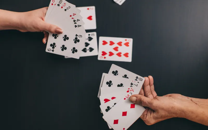 29 Card Game